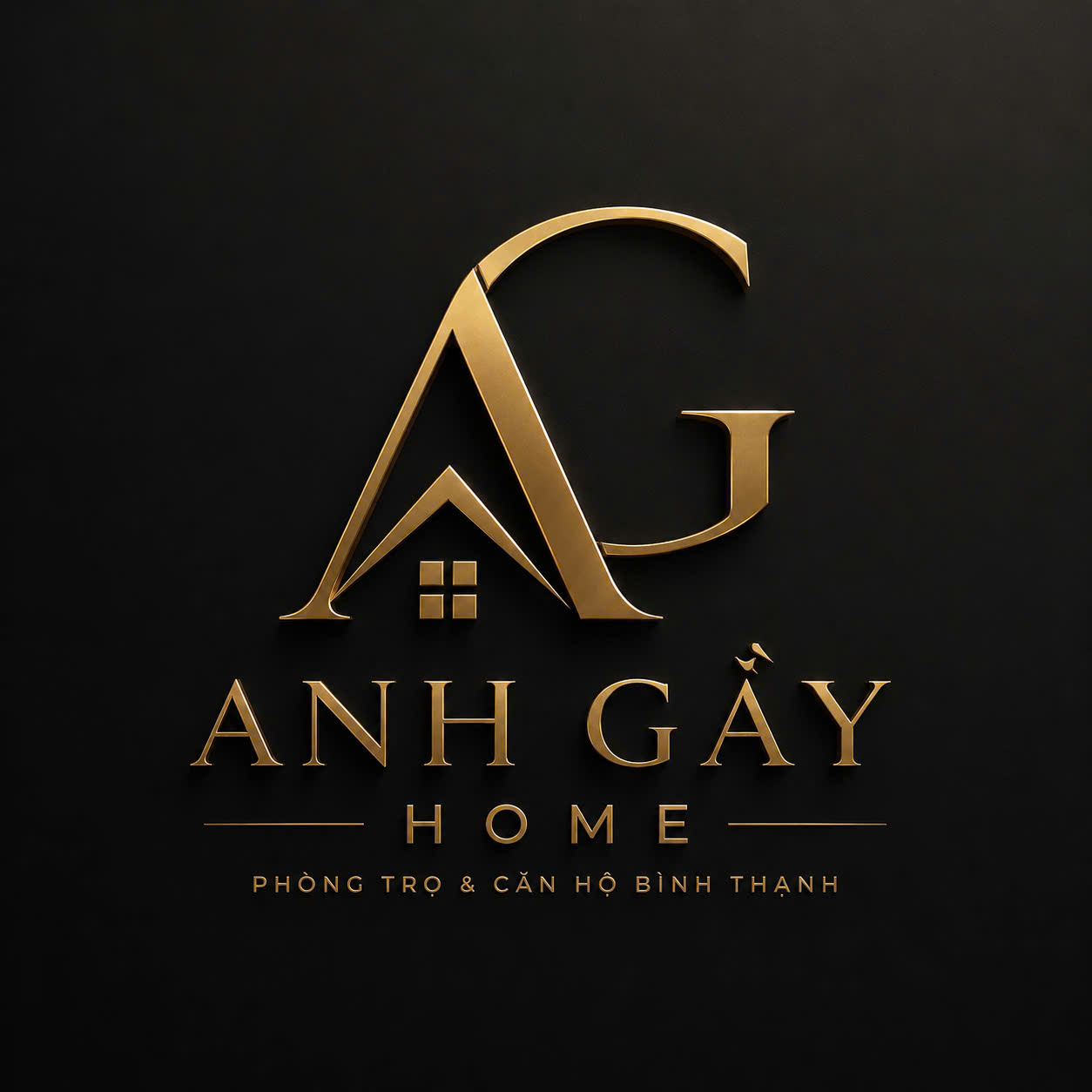 Logo Anh Gay Home